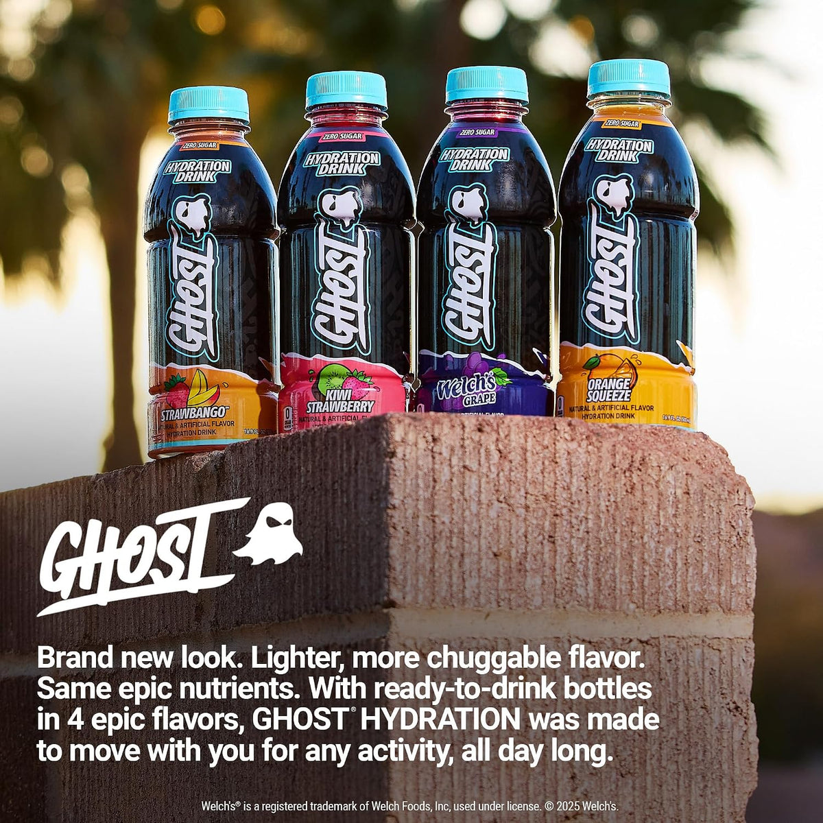GHOST Hydration Drink, Zero Sugar, 12 Pack, Welch’s Grape - 16.9 Fl Oz